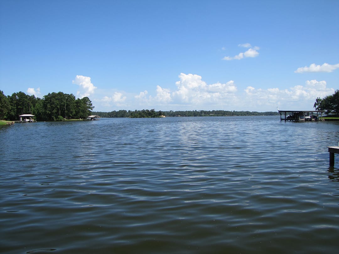 Lake Livingston