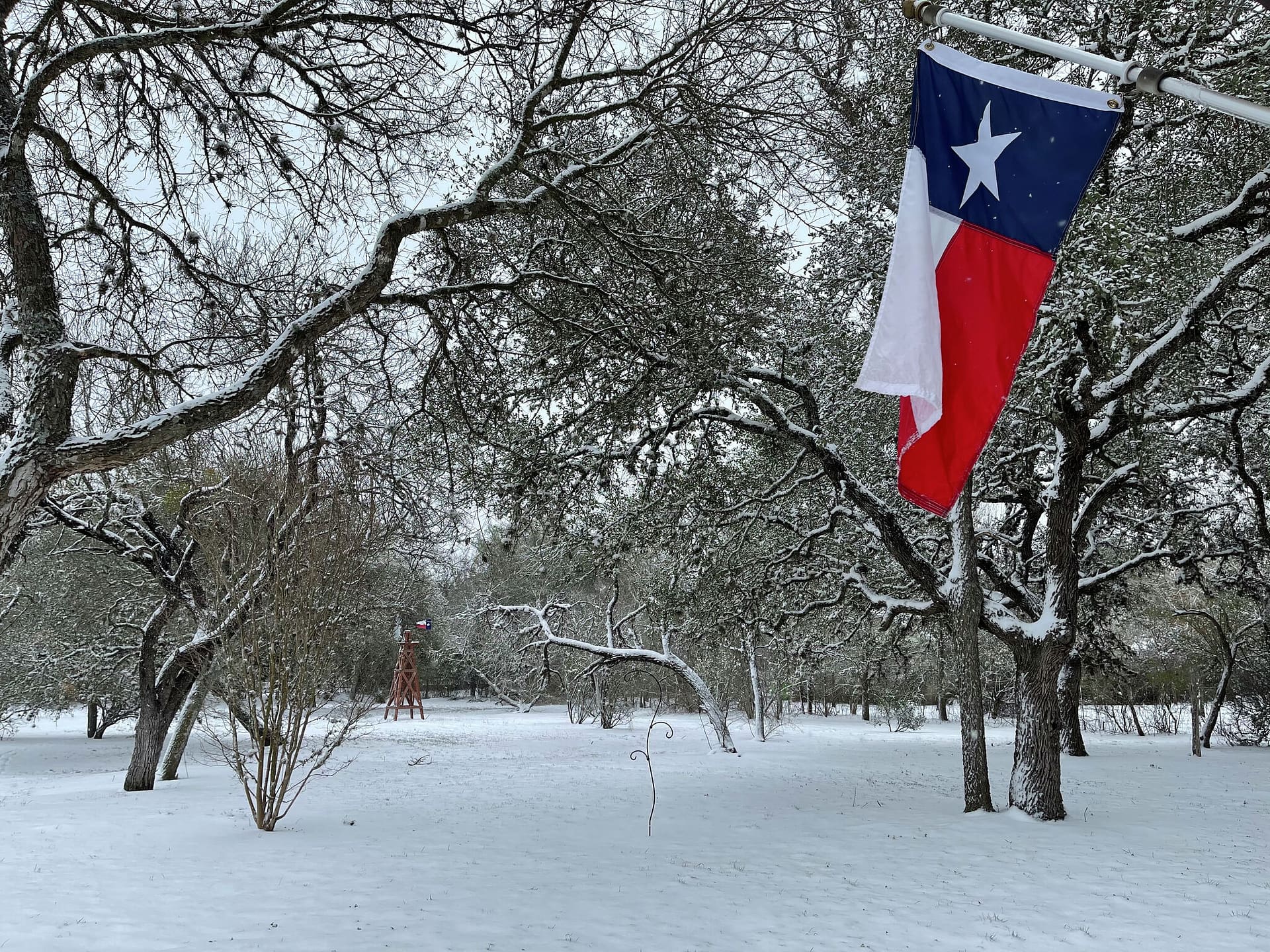 Trinity Texas Winter