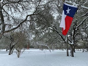 Trinity Texas Winter