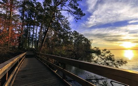 Lake Livingston Hike Trail